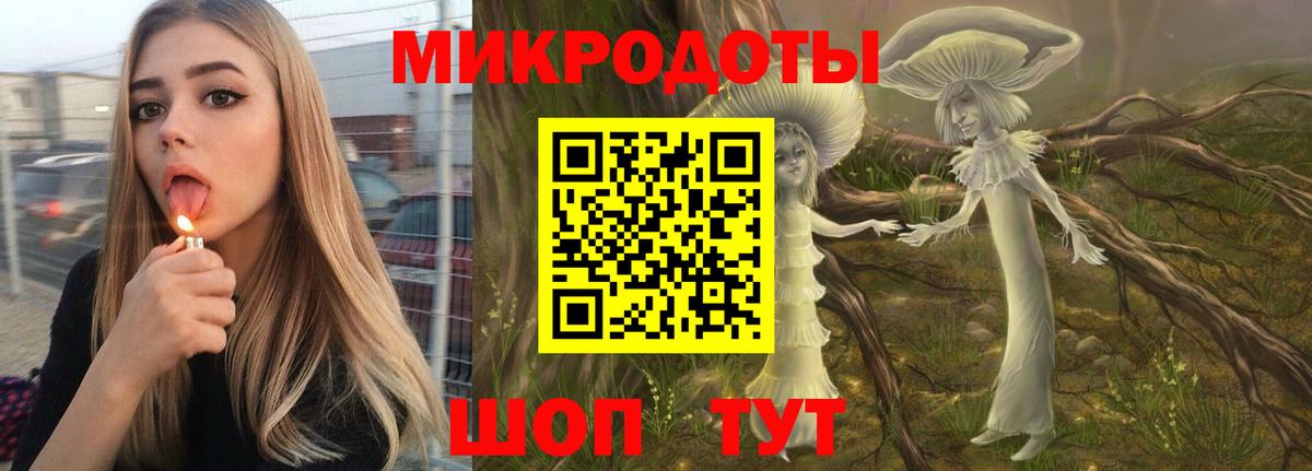 Псилоцибиновые грибы Psilocybe  Вход с VPN  Южноуральск 